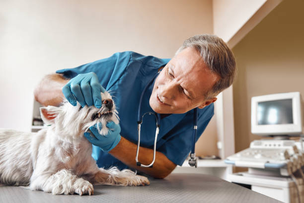 Best Weekend Emergency Dentist in Wymore, NE